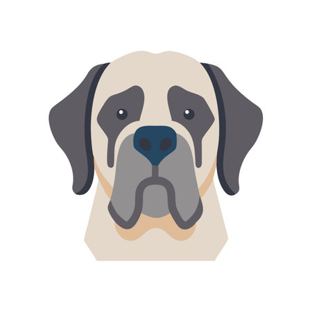 Flat Vector Image of English Mastiff Dog Breedのイラスト素材
