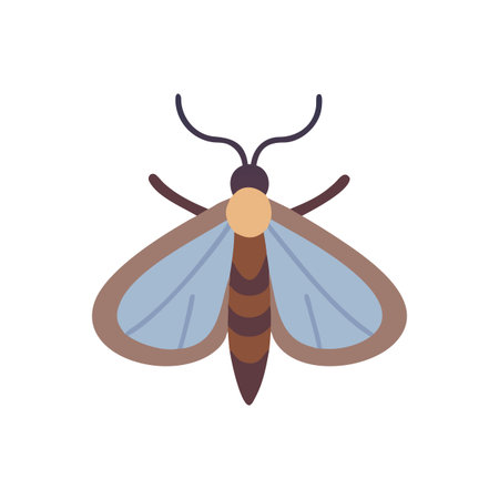 Cartoon moth vector illustration on a black backgroundのイラスト素材