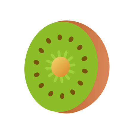 Simple and Colorful Vector Graphic of a Kiwi Sliceのイラスト素材