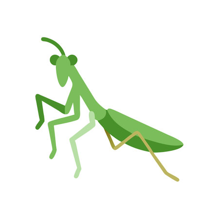 Cartoon Praying Mantis on Black Background Vector Illustrationのイラスト素材