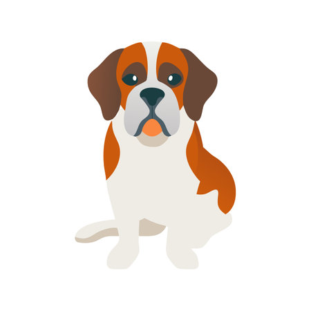 Cute Flat Design Saint Bernard Dog Illustrationのイラスト素材
