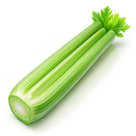 Fresh celery isolated on white background. Clipping path included.の写真素材