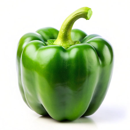 Green bell pepper isolated on white background. Clipping path included.の写真素材