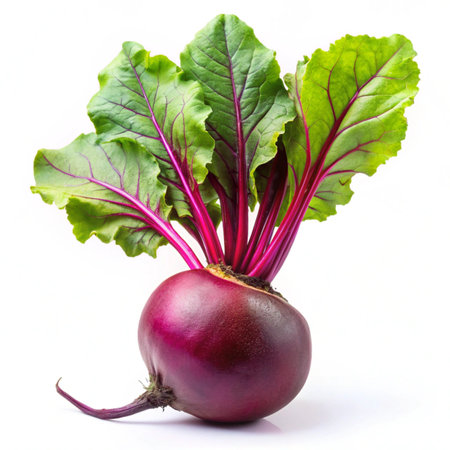 Beetroot with leaves isolated on white background. Fresh beetroot.