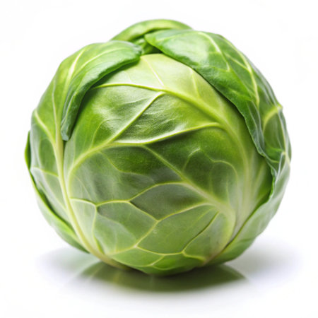 Fresh green brussels sprout isolated on a white background.の写真素材