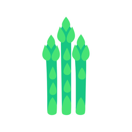 Graphic flat illustration of three spears of green asparagusのイラスト素材