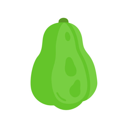 Isolated light green chayote squash illustration on black backgroundのイラスト素材