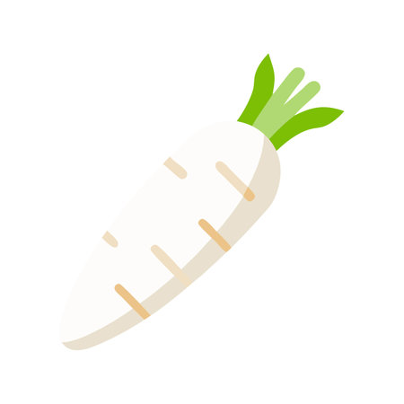 Isolated flat illustration of Daikon radish on black backgroundのイラスト素材