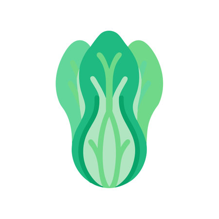 Minimalist Bok Choy Illustration on Black Backgroundのイラスト素材