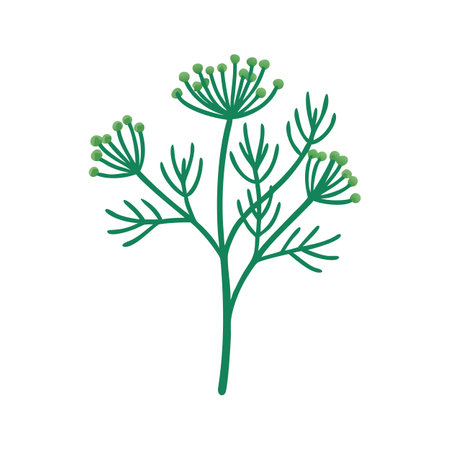 Stylized green dill plant illustration against a black backgroundのイラスト素材