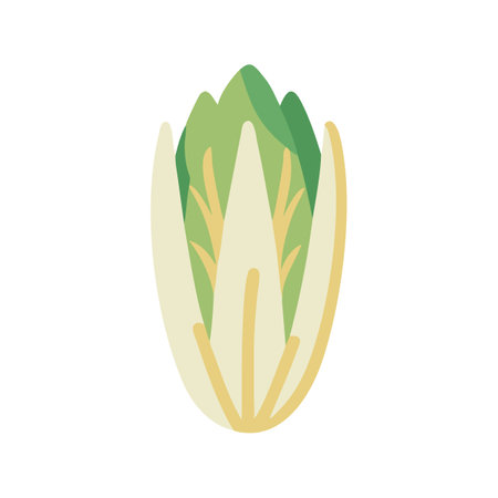 Stylized chinese cabbage illustration on black background, flat designのイラスト素材