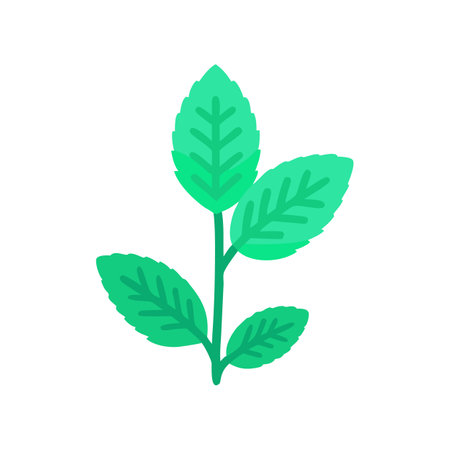 Three vibrant green leaves growing on single stem isolatedのイラスト素材