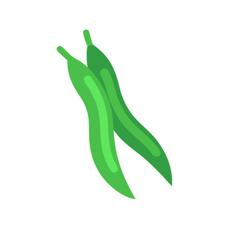 Two green beans isolated on black background illustrationのイラスト素材