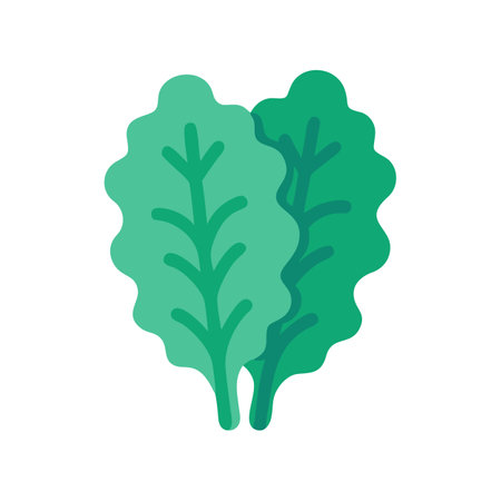 Two leafy lettuces in green tone against black backgroundのイラスト素材