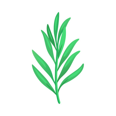 Isolated green botanical plant sprig against a black backgroundのイラスト素材