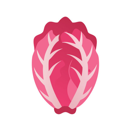 Stylized red cabbage head illustration against dark backgroundのイラスト素材