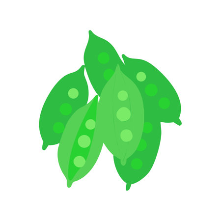 Illustration of fresh organic green peas on black backgroundのイラスト素材