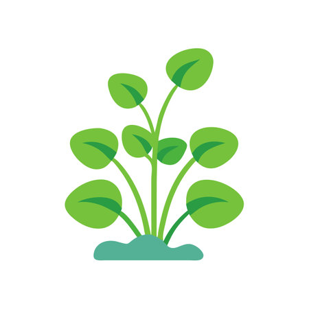 Minimalist plant with round leaves on black background vectorのイラスト素材