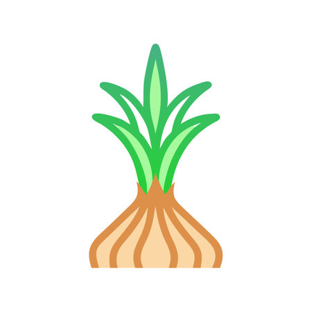 Isolated flat vector illustration of a spring onion plantのイラスト素材