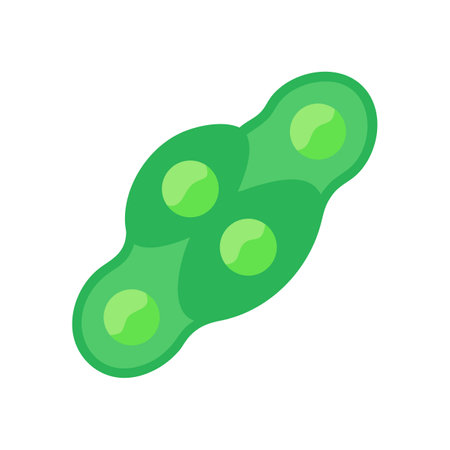 Green peas in a pod flat lay illustrationのイラスト素材