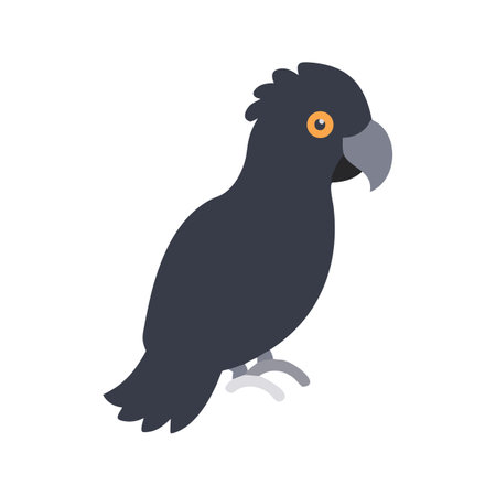 Stylized illustration of a Black Cockatoo bird on blackのイラスト素材