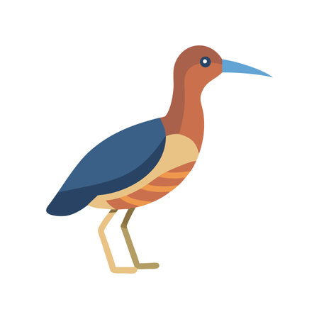 Flat design illustration of a colorful bird on blackのイラスト素材