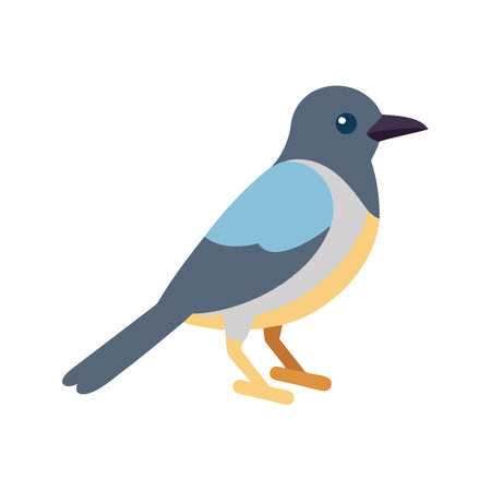 Modern flat illustration of bird with black backgroundのイラスト素材