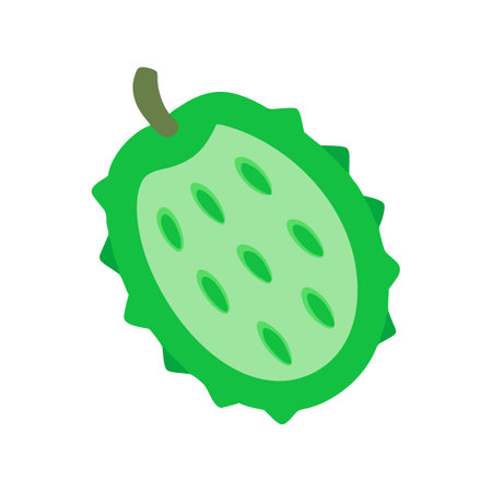 Kiwi fruit halved illustration on black studio backgroundのイラスト素材
