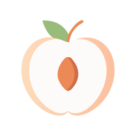 Flat design peach section with seed and leaf on blackのイラスト素材