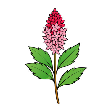 Illustration of colorful flower with stem and green leavesのイラスト素材