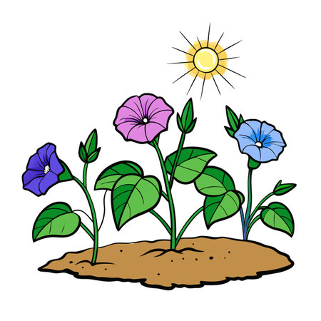 Vibrant morning glories illustration with sun above soil moundのイラスト素材