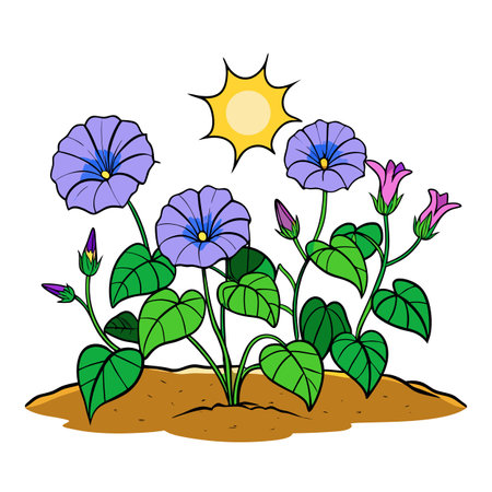 Morning Glories in Bloom with Cartoon Sun Illustrationのイラスト素材