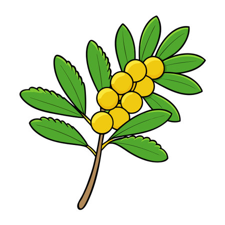 Illustration of a stylized branch with green leaves and berriesのイラスト素材