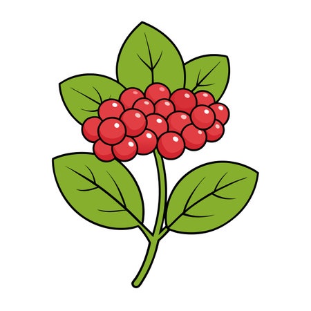 Vector illustration of red berries with green leavesのイラスト素材