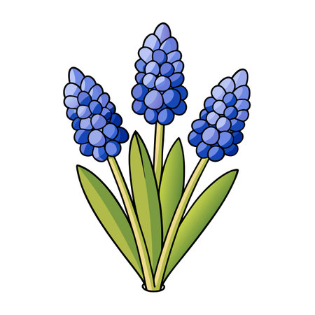 Graphic illustration of three muscari flowers against white backgroundのイラスト素材