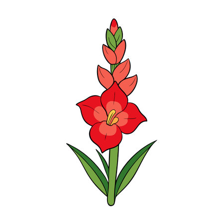 Illustration of a beautiful Gladiolus flower with vibrant colorのイラスト素材
