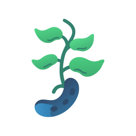 Stylized plant seedling growing from a single bean illustrationのイラスト素材