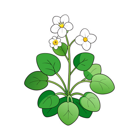Cute stylized illustration of a flowering plant in bloomのイラスト素材