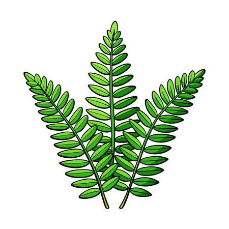 Illustration of leafy green plant branches on white backgroundのイラスト素材