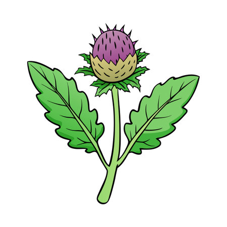 Cartoon illustration of a spiky thistle flower with leavesのイラスト素材