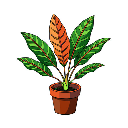 Calathea plant in brown pot illustration on white backdropのイラスト素材