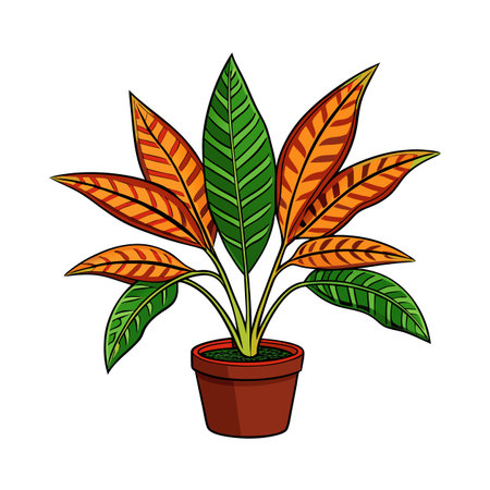 Potted Calathea Plant with Orange and Green Foliageのイラスト素材