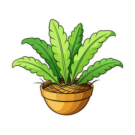 Cartoon bird's nest fern in pot isolated on whiteのイラスト素材