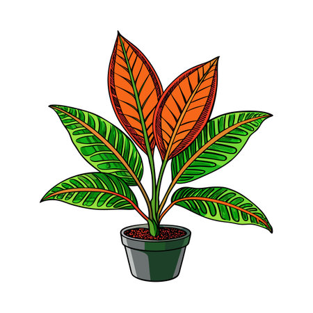 Vibrant Aglaonema Plant in Pot Illustration with Detailed Leavesのイラスト素材