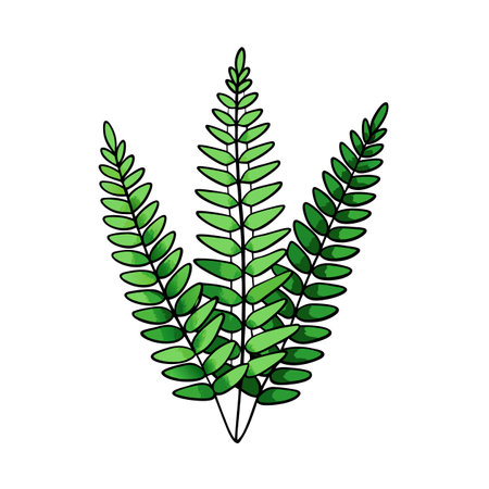 Three green fern stems illustration on a white backgroundのイラスト素材
