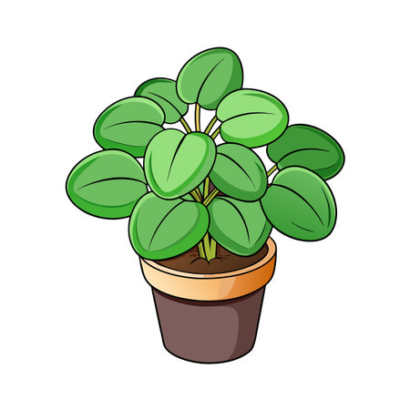 Stylized illustration of a Pilea peperomioides plant in potのイラスト素材
