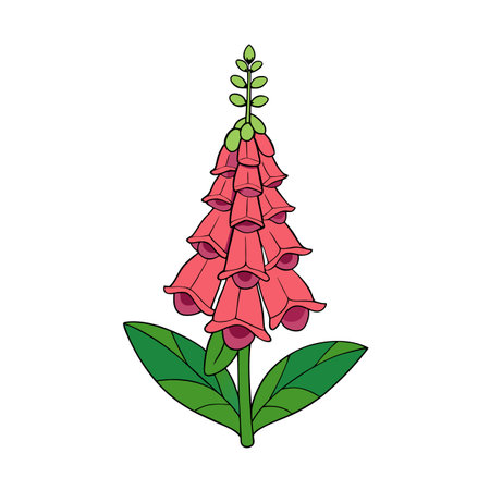 Detailed Foxglove flower illustration in bloom with flat colorsのイラスト素材