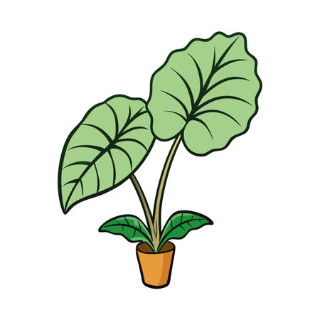 Cartoon Alocasia plant in a pot graphic illustrationのイラスト素材