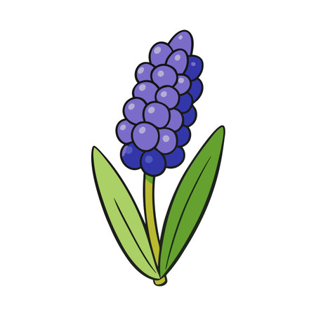 Cartoon hyacinth flower illustration with rounded shapes and colorsのイラスト素材