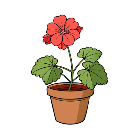 Illustration of a red geranium flower in a potのイラスト素材